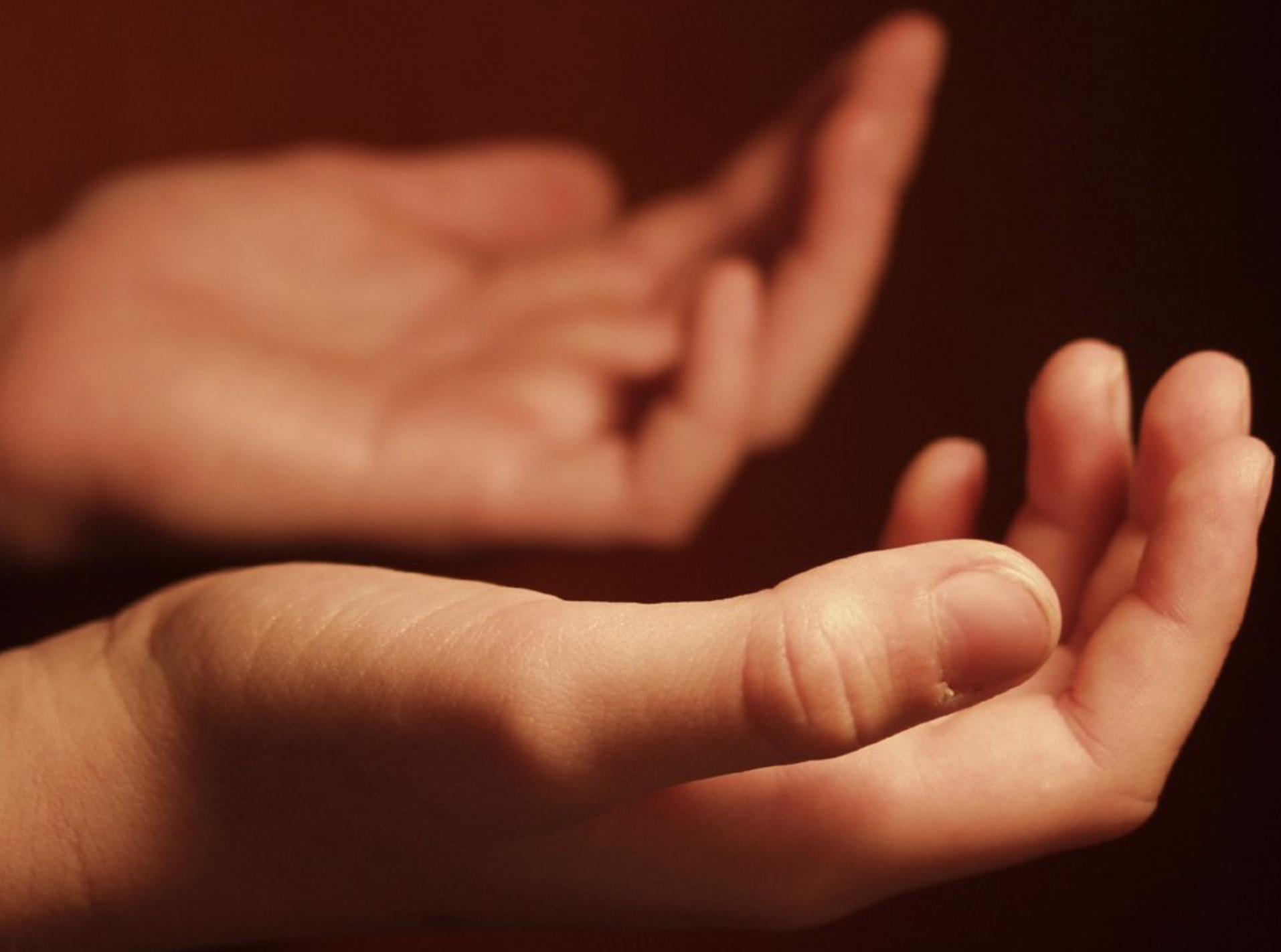 Guía de apoyo al duelo