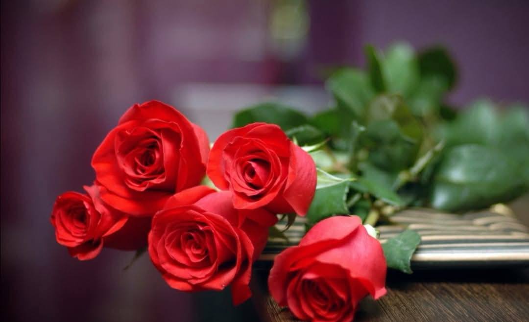 Formaré junto a mis Compañeros